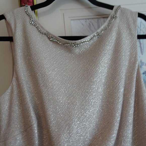 Ladies Size 14 Champagne long Prom Dress-NEW - Picture 5 of 8